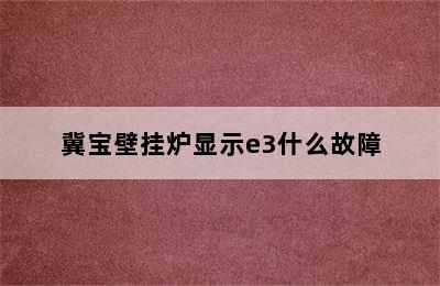 冀宝壁挂炉显示e3什么故障