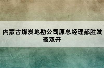 内蒙古煤炭地勘公司原总经理郝胜发被双开