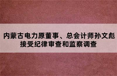 内蒙古电力原董事、总会计师孙文彪接受纪律审查和监察调查