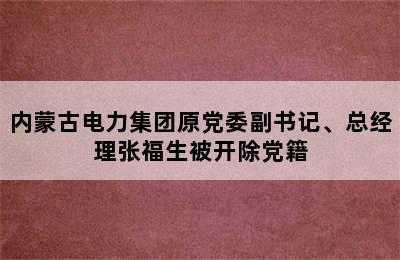 内蒙古电力集团原党委副书记、总经理张福生被开除党籍