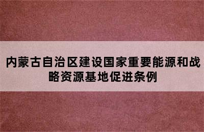 内蒙古自治区建设国家重要能源和战略资源基地促进条例