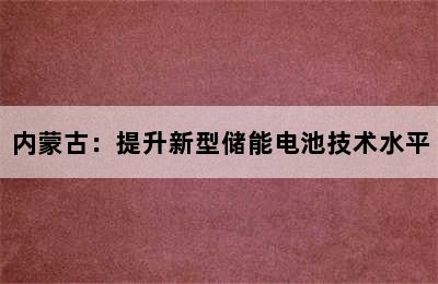 内蒙古：提升新型储能电池技术水平