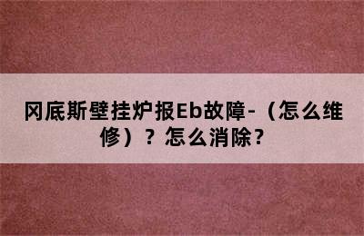 冈底斯壁挂炉报Eb故障-（怎么维修）？怎么消除？