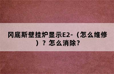 冈底斯壁挂炉显示E2-（怎么维修）？怎么消除？