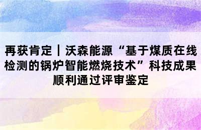 再获肯定｜沃森能源“基于煤质在线检测的锅炉智能燃烧技术”科技成果顺利通过评审鉴定