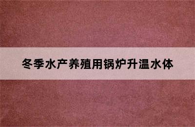 冬季水产养殖用锅炉升温水体