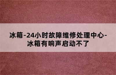 冰箱-24小时故障维修处理中心-冰箱有响声启动不了