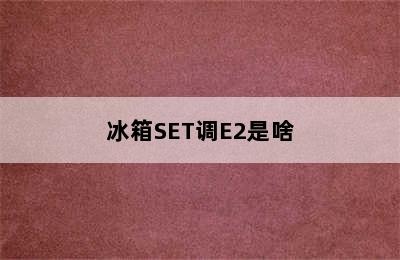 冰箱SET调E2是啥