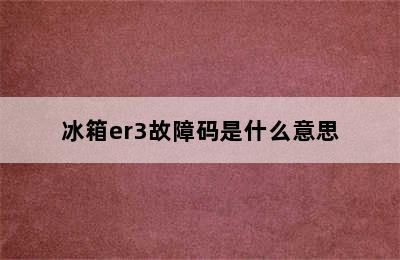 冰箱er3故障码是什么意思