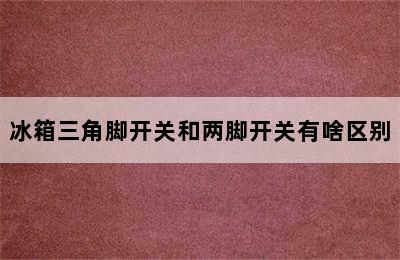 冰箱三角脚开关和两脚开关有啥区别