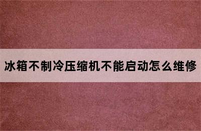 冰箱不制冷压缩机不能启动怎么维修