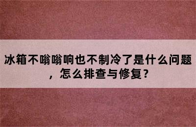 冰箱不嗡嗡响也不制冷了是什么问题，怎么排查与修复？