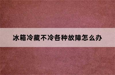 冰箱冷藏不冷各种故障怎么办