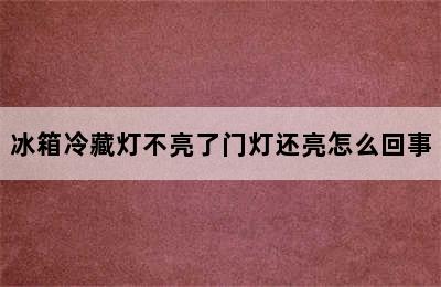 冰箱冷藏灯不亮了门灯还亮怎么回事