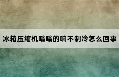 冰箱压缩机嗡嗡的响不制冷怎么回事