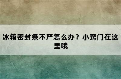 冰箱密封条不严怎么办？小窍门在这里哦