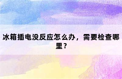 冰箱插电没反应怎么办，需要检查哪里？