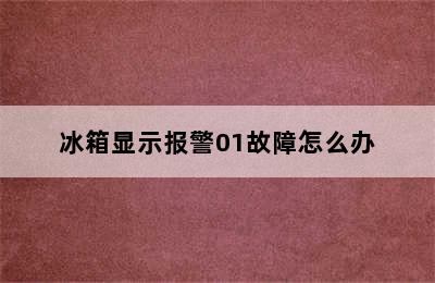 冰箱显示报警01故障怎么办