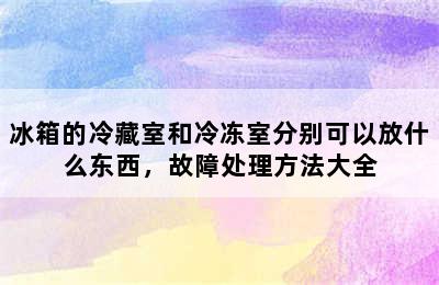 冰箱的冷藏室和冷冻室分别可以放什么东西，故障处理方法大全