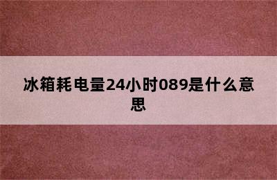 冰箱耗电量24小时089是什么意思