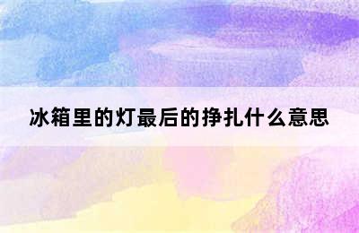 冰箱里的灯最后的挣扎什么意思