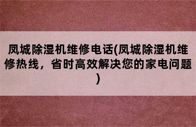 凤城除湿机维修电话(凤城除湿机维修热线，省时高效解决您的家电问题)