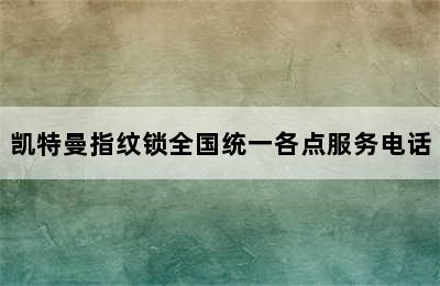 凯特曼指纹锁全国统一各点服务电话