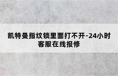 凯特曼指纹锁里面打不开-24小时客服在线报修