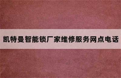 凯特曼智能锁厂家维修服务网点电话