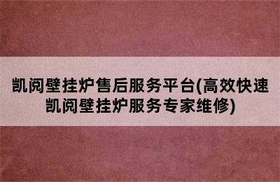 凯阅壁挂炉售后服务平台(高效快速凯阅壁挂炉服务专家维修)