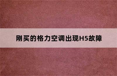 刚买的格力空调出现H5故障