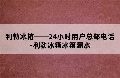 利勃冰箱——24小时用户总部电话-利勃冰箱冰箱漏水