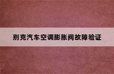 别克汽车空调膨胀阀故障验证