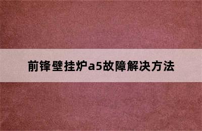 前锋壁挂炉a5故障解决方法