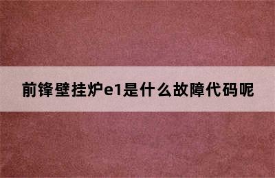 前锋壁挂炉e1是什么故障代码呢