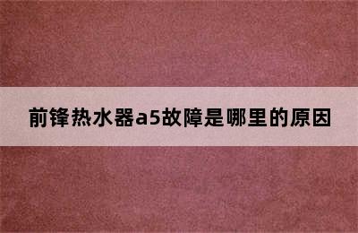 前锋热水器a5故障是哪里的原因