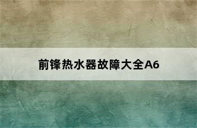 前锋热水器故障大全A6