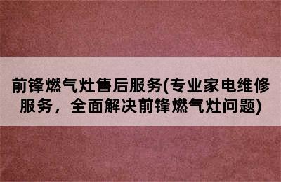 前锋燃气灶售后服务(专业家电维修服务，全面解决前锋燃气灶问题)