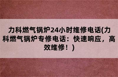 力科燃气锅炉24小时维修电话(力科燃气锅炉专修电话：快速响应，高效维修！)