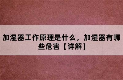 加湿器工作原理是什么，加湿器有哪些危害【详解】