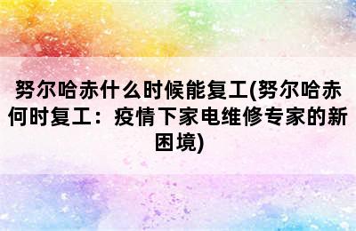 努尔哈赤什么时候能复工(努尔哈赤何时复工：疫情下家电维修专家的新困境)