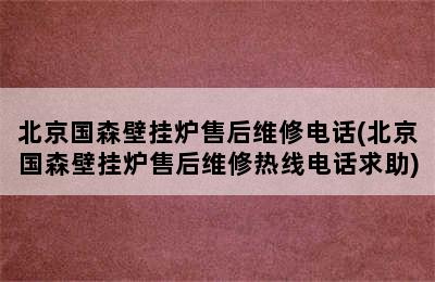 北京国森壁挂炉售后维修电话(北京国森壁挂炉售后维修热线电话求助)