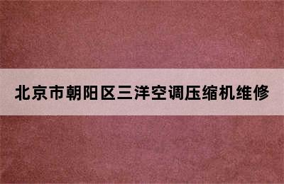 北京市朝阳区三洋空调压缩机维修