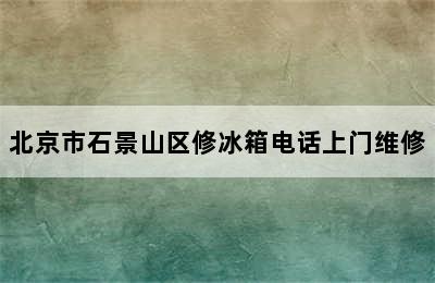 北京市石景山区修冰箱电话上门维修