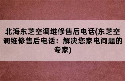 北海东芝空调维修售后电话(东芝空调维修售后电话：解决您家电问题的专家)