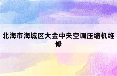 北海市海城区大金中央空调压缩机维修