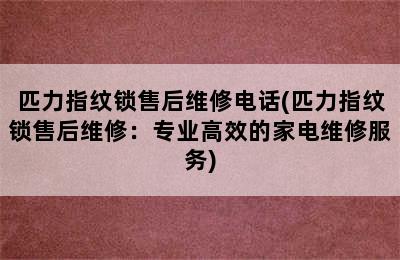 匹力指纹锁售后维修电话(匹力指纹锁售后维修：专业高效的家电维修服务)