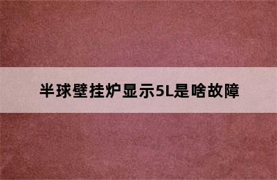 半球壁挂炉显示5L是啥故障