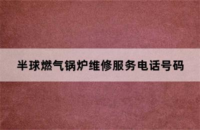 半球燃气锅炉维修服务电话号码