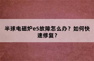 半球电磁炉e5故障怎么办？如何快速修复？